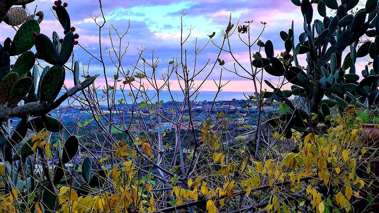 Photo of Outdoor in Giarre