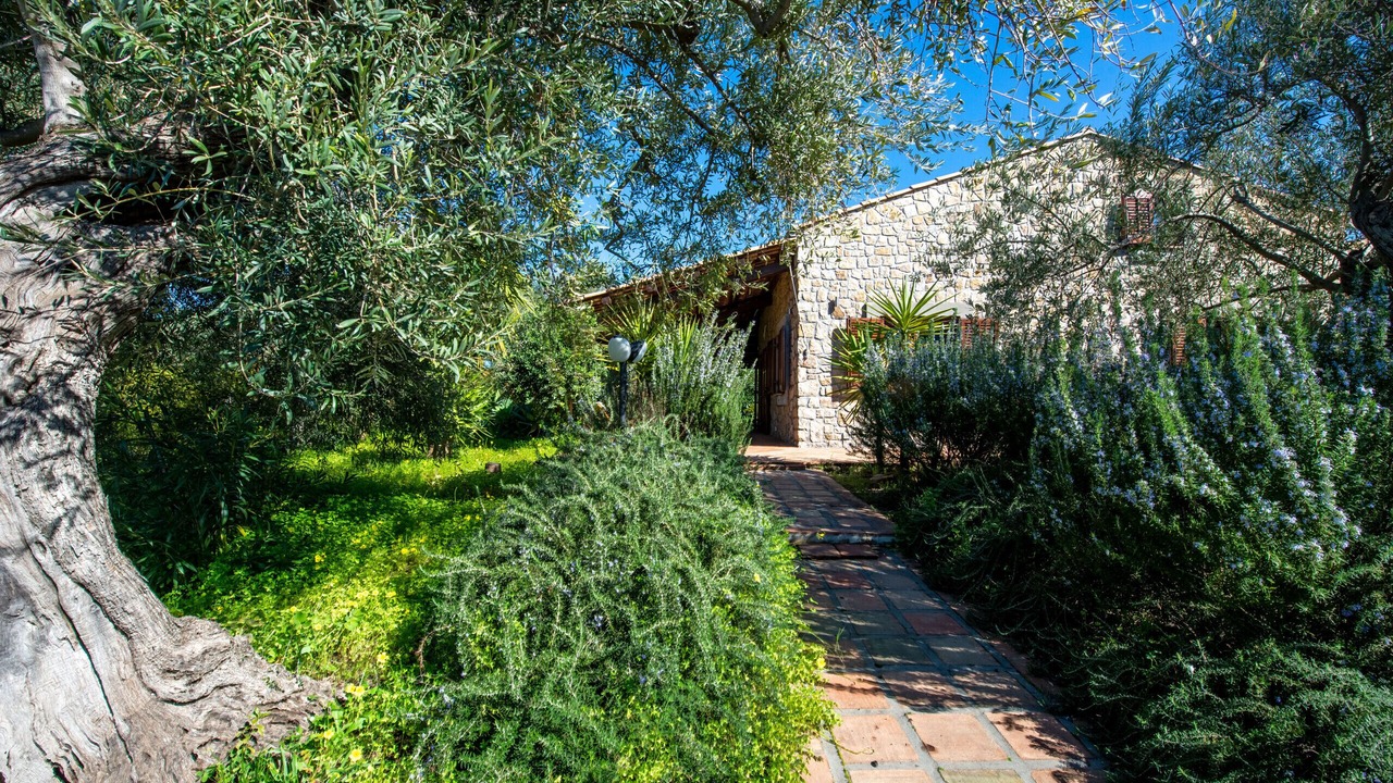 Photo of Outdoor in Capo