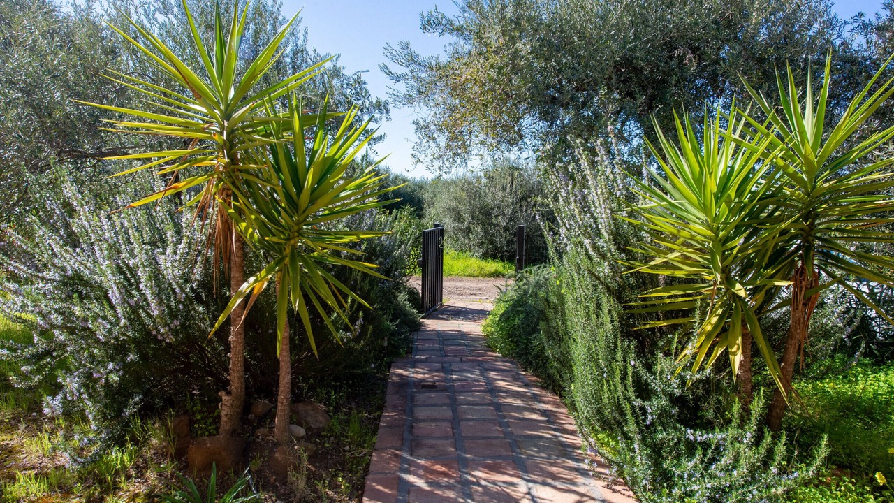 Photo of Outdoor in Capo