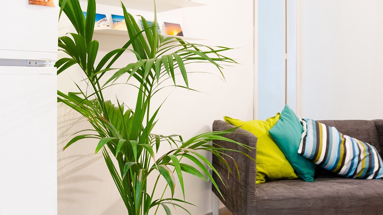 Photo of Livingroom in Agrigento