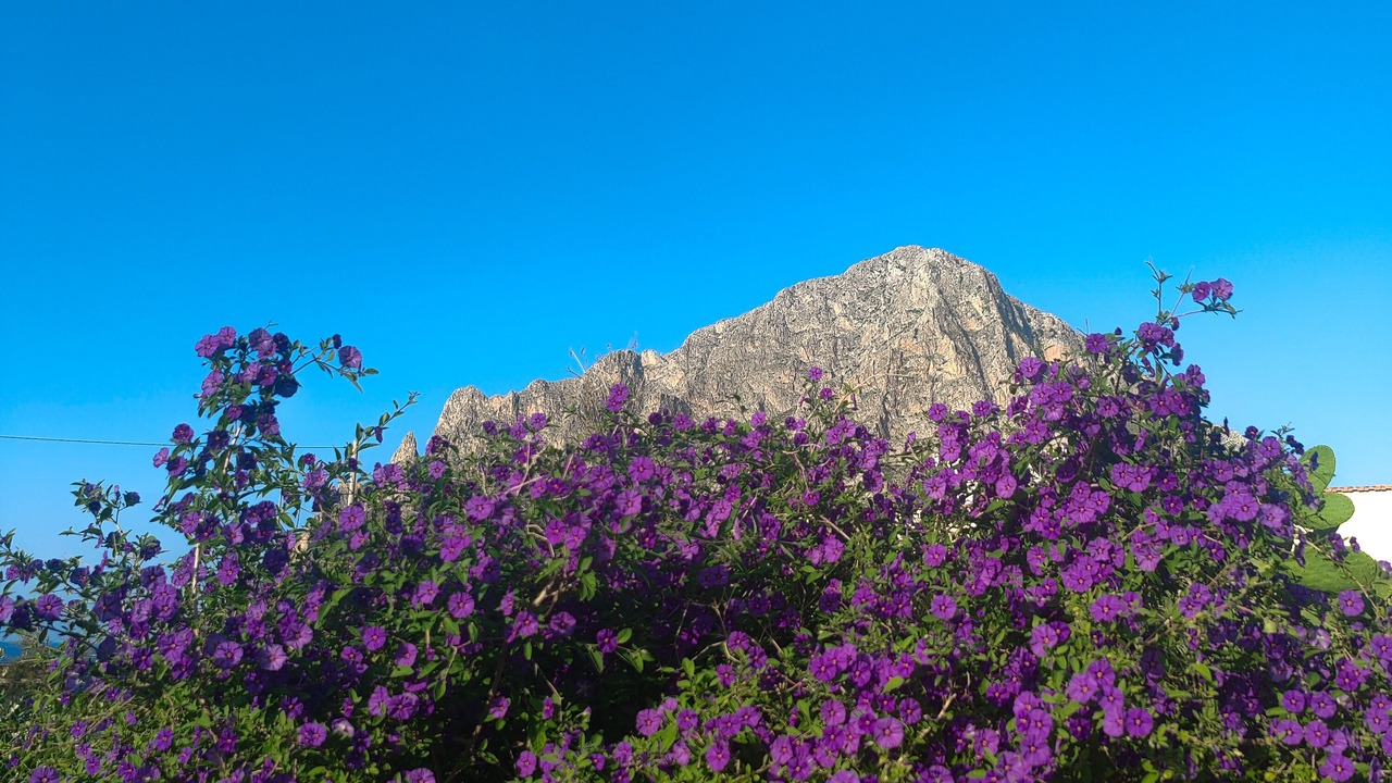 Photo of Outdoor in Custonaci