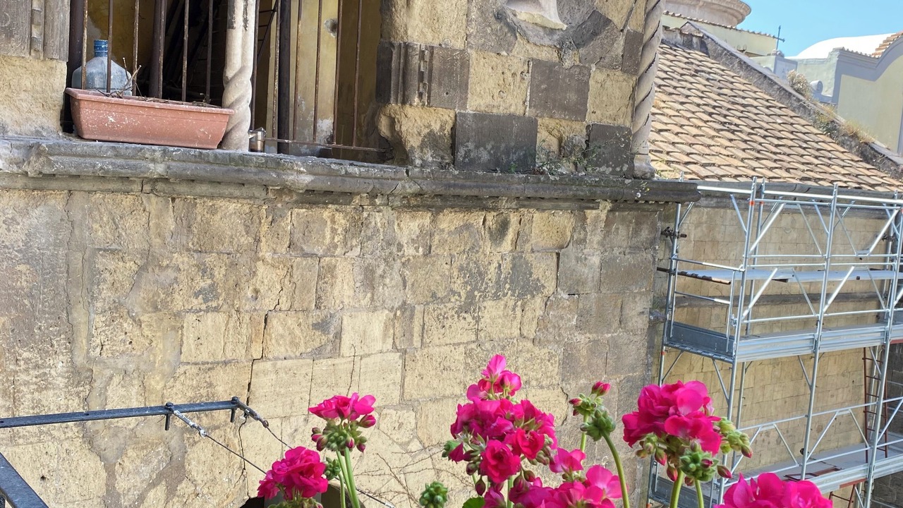 Photo of Outdoor in Historical Center