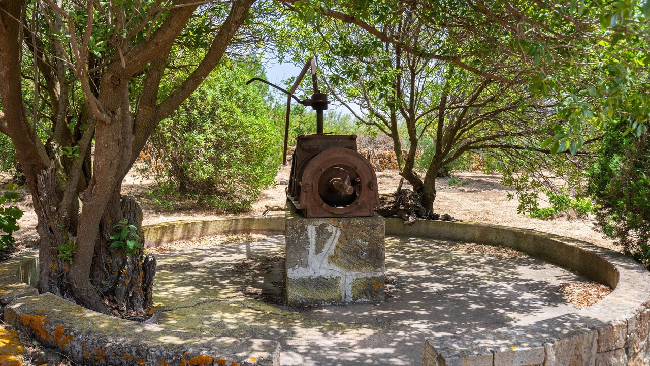 Photo of Outdoor in Pantelleria