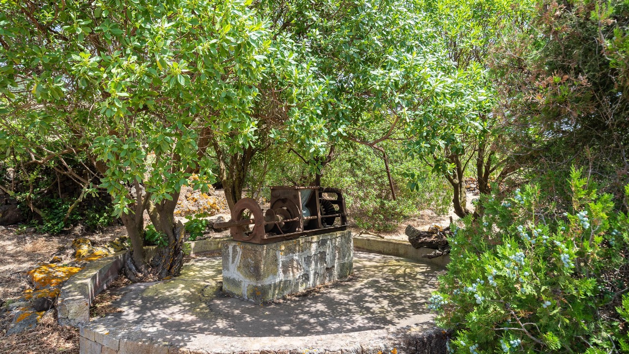 Photo of Outdoor in Pantelleria