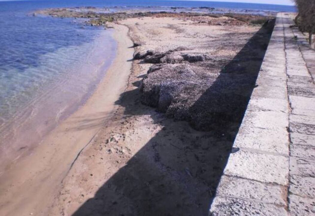Photo of Others in Marzamemi