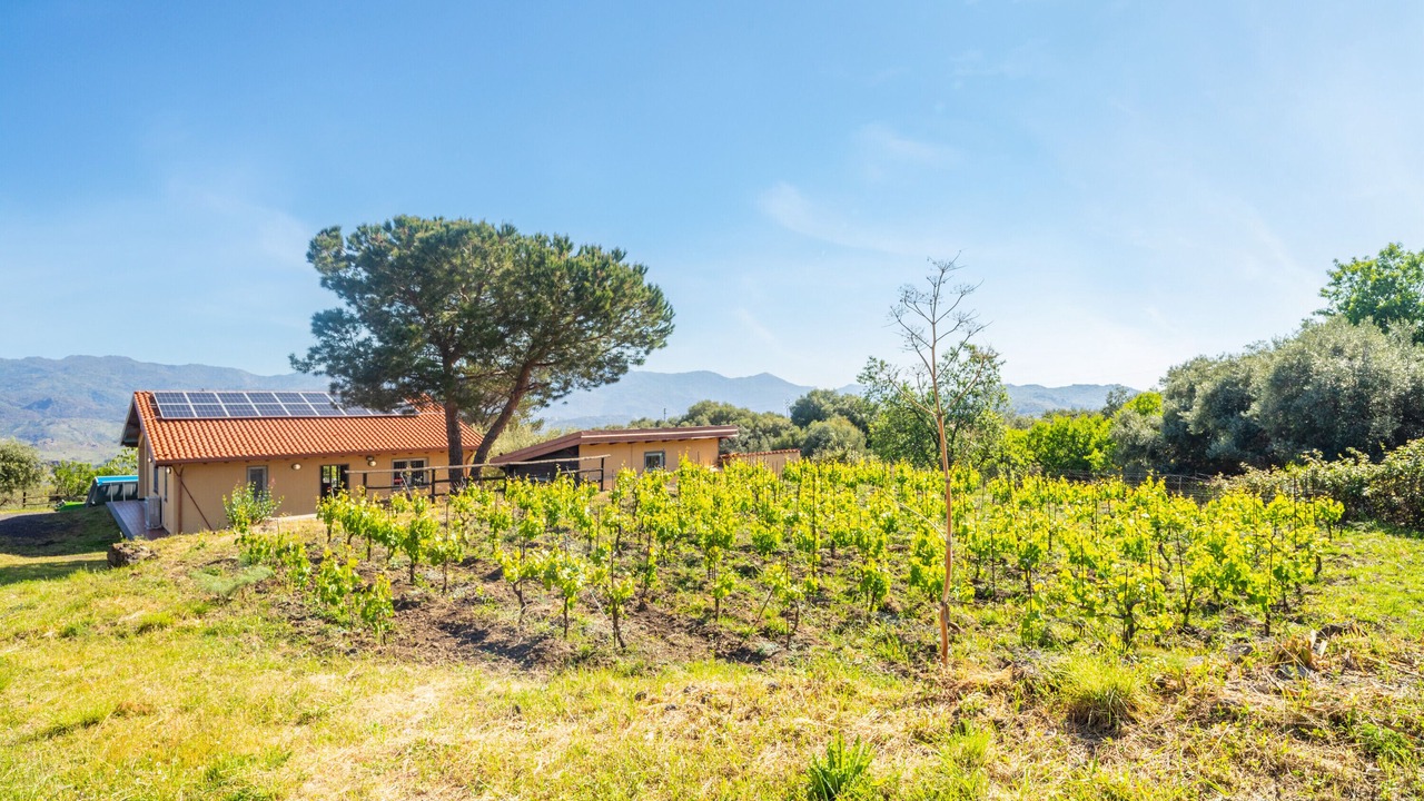 Photo of Outdoor in Solicchiata