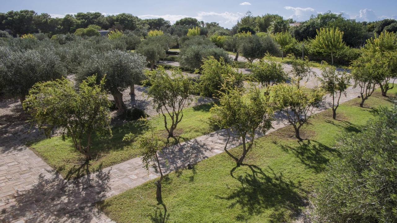Photo of Outdoor in Favignana
