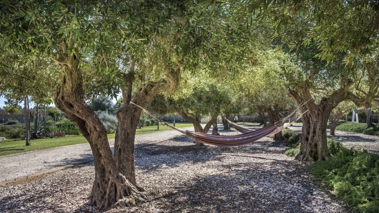 Photo of Outdoor in Favignana