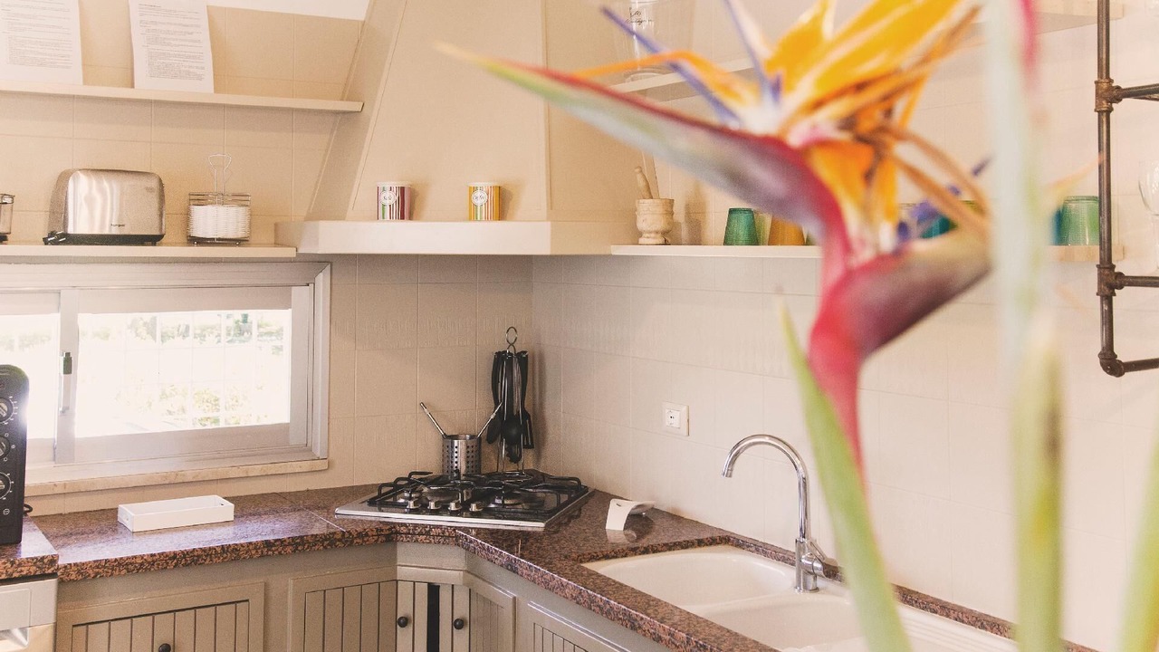 Photo of Kitchen in Partinico