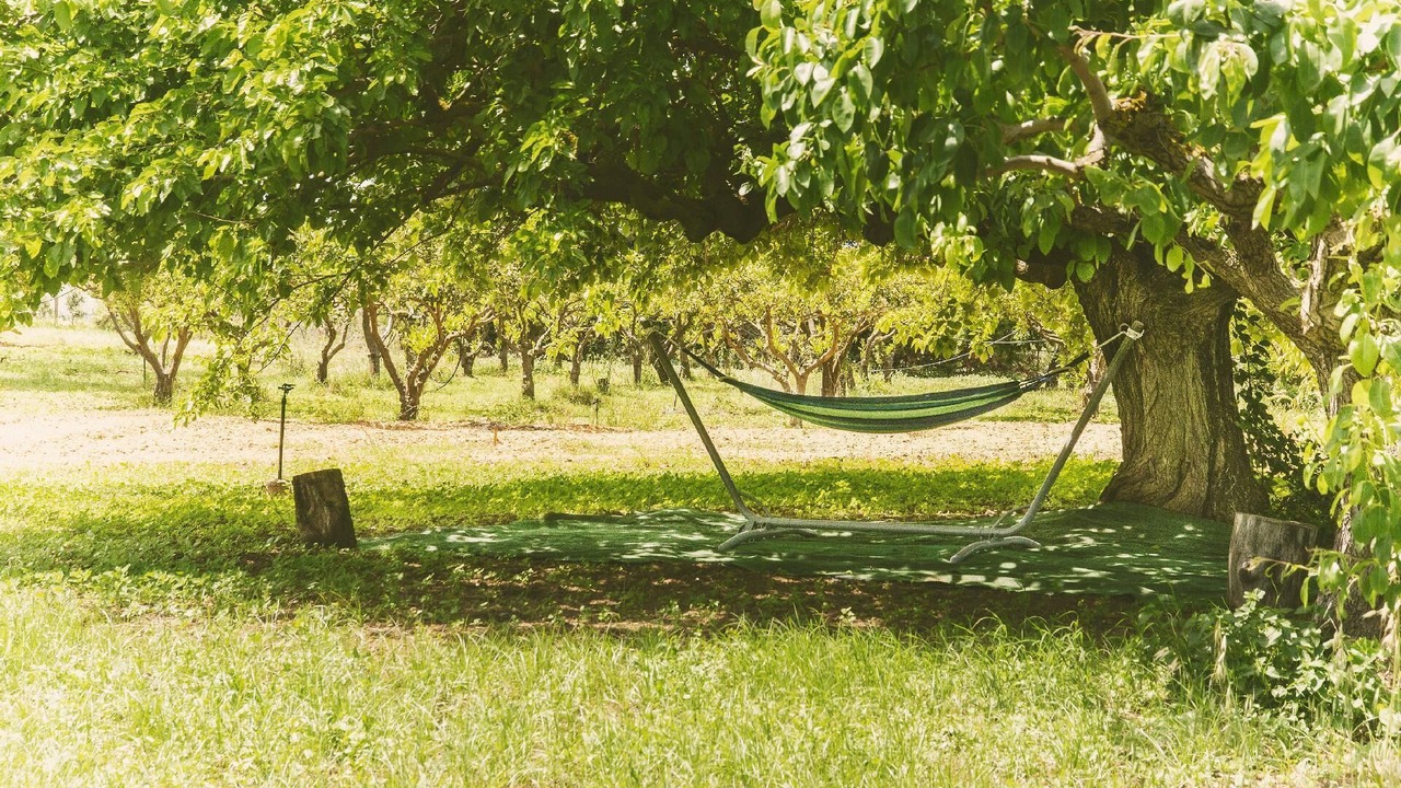 Photo of Outdoor in Partinico