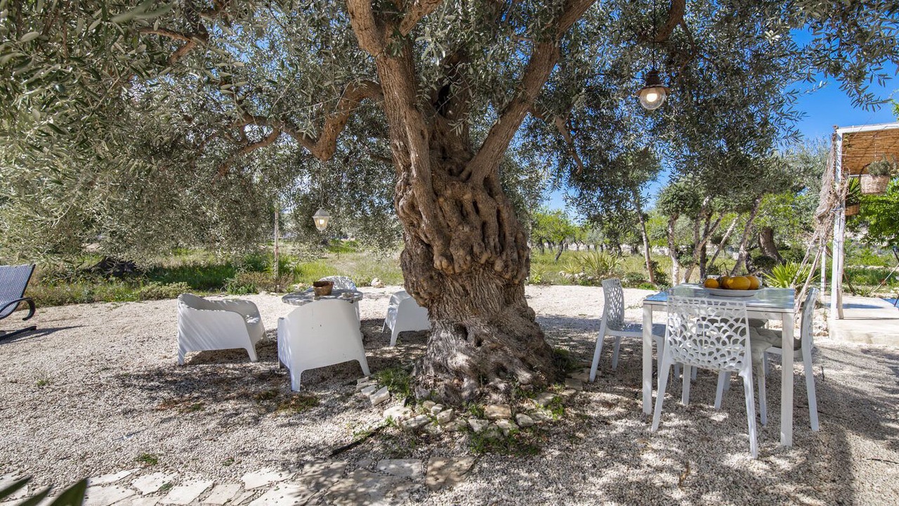 Photo of Outdoor in Avola
