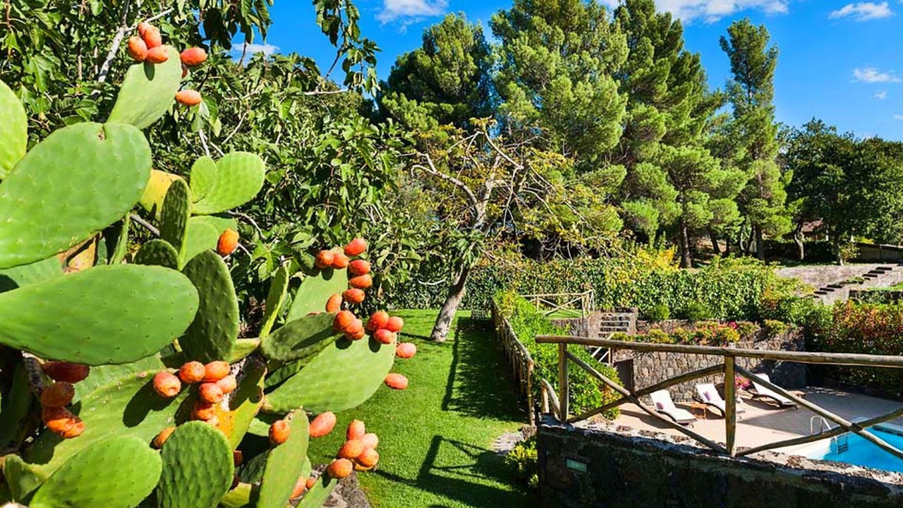 Photo of Outdoor in Ragalna