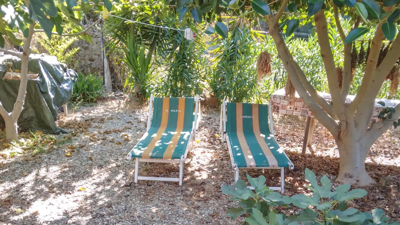 Photo of Others in Savoca