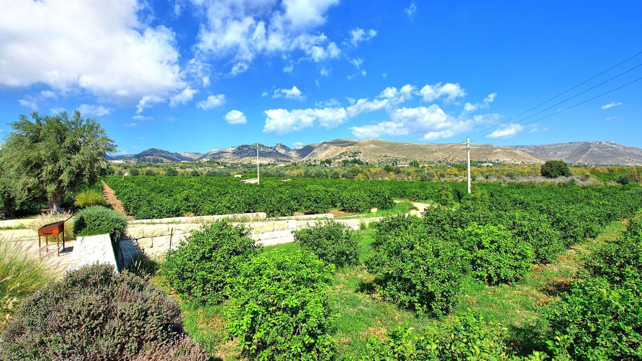 Photo of Outdoor in Avola