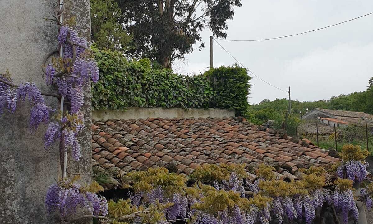 Photo of Outdoor in Rovittello