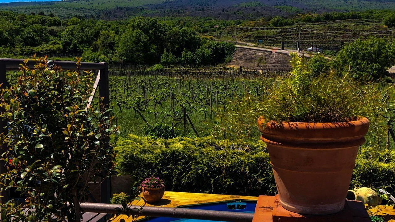 Photo of Outdoor in Rovittello