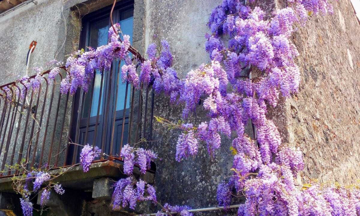 Photo of Outdoor in Rovittello