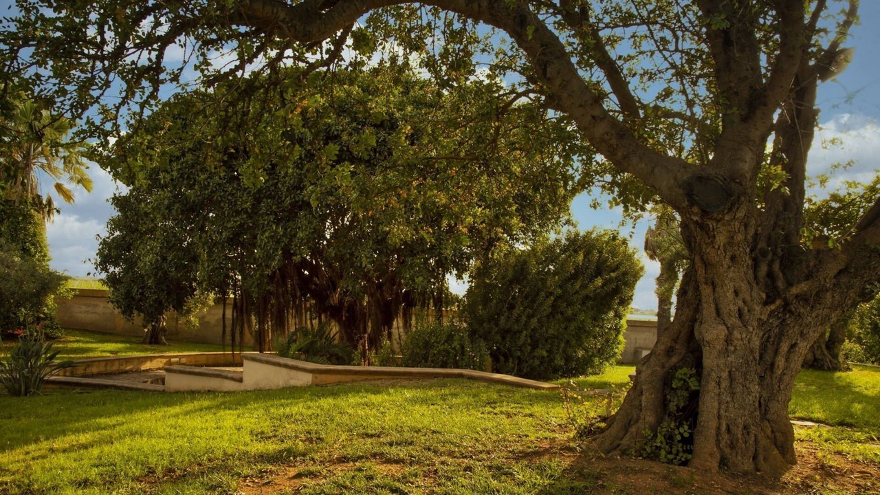 Photo of Outdoor in Marsala