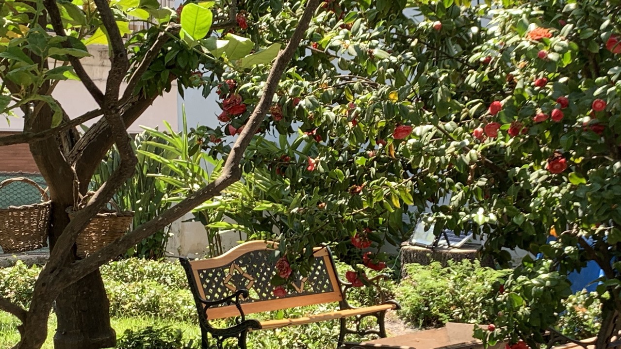 Photo of Outdoor in Fiumefreddo di Sicilia