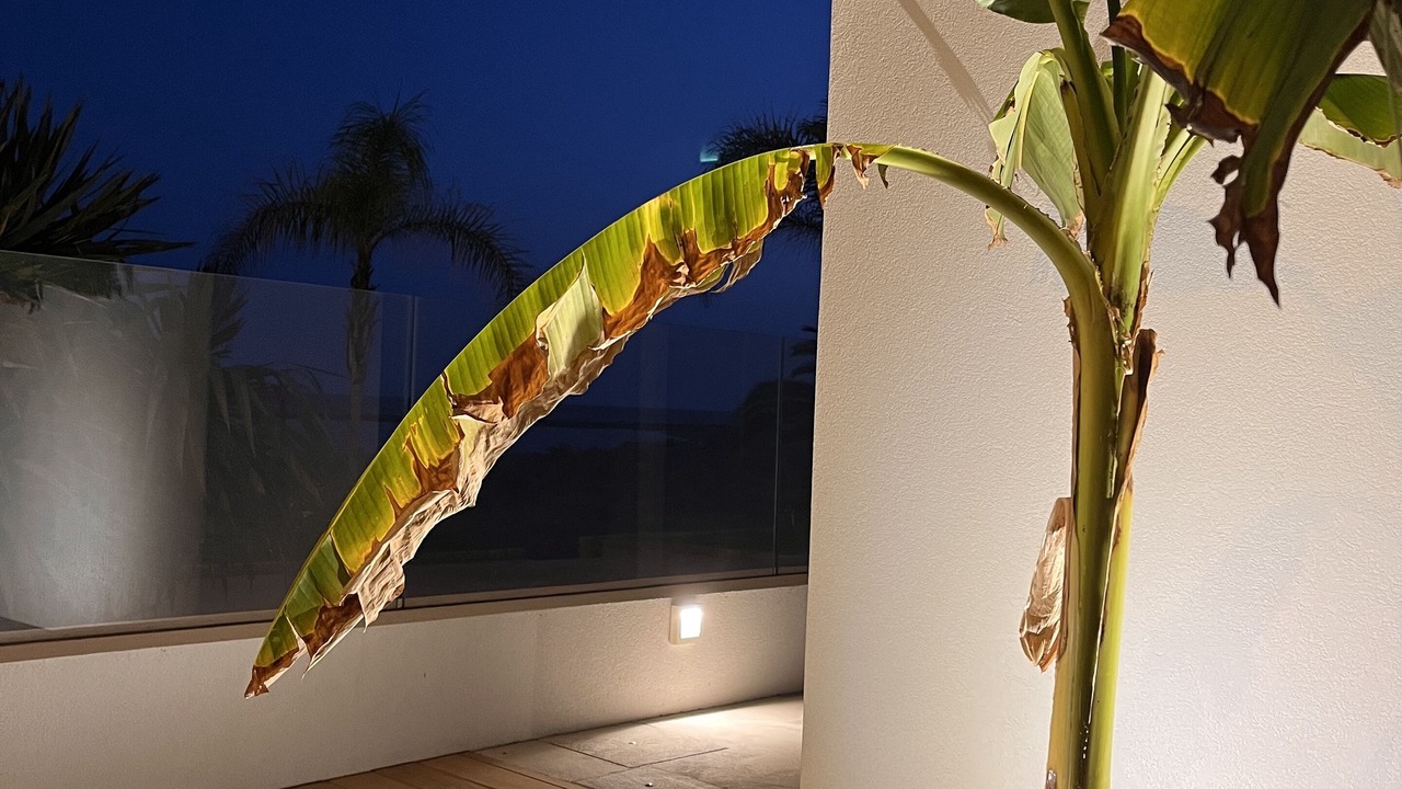 Photo of Outdoor in Sicily South Coast