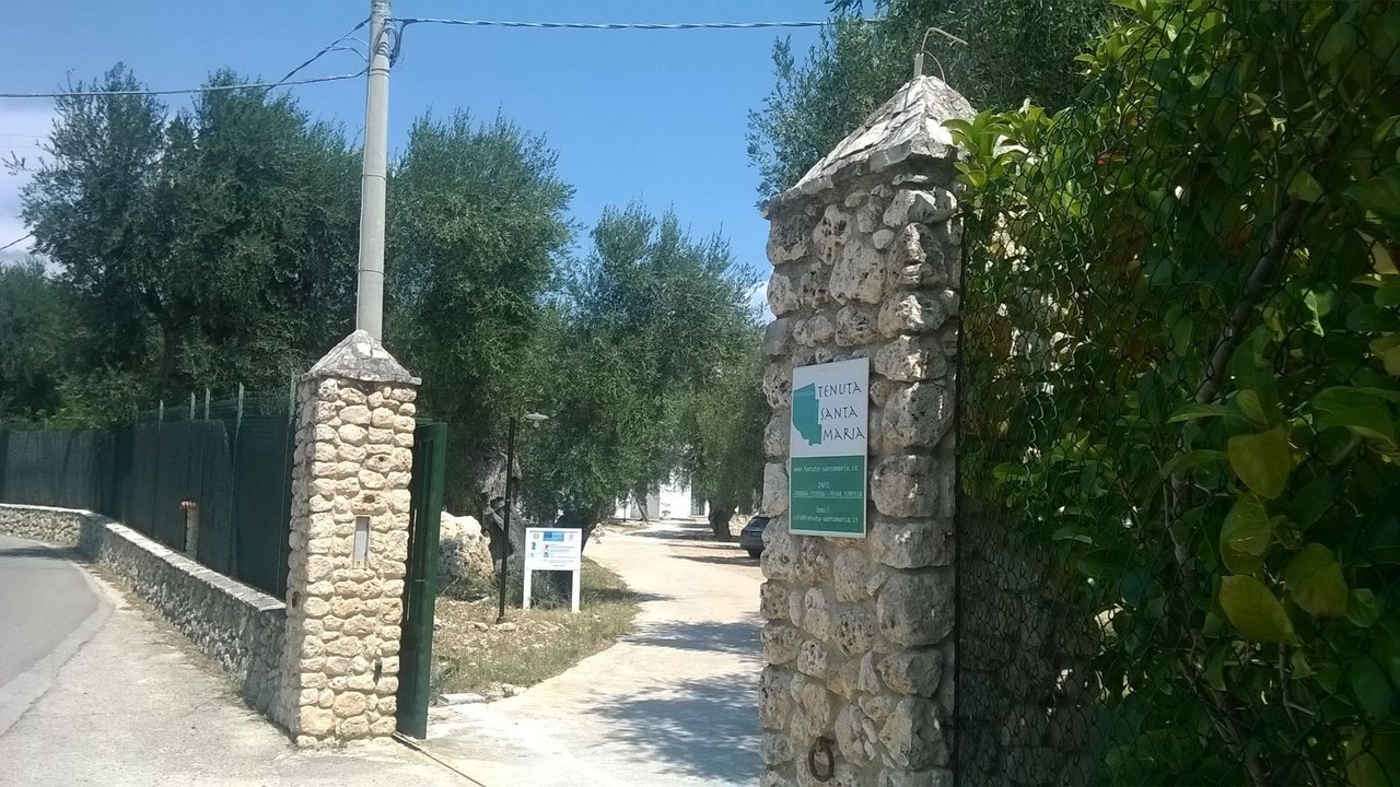 Photo of Outdoor in Mattinata