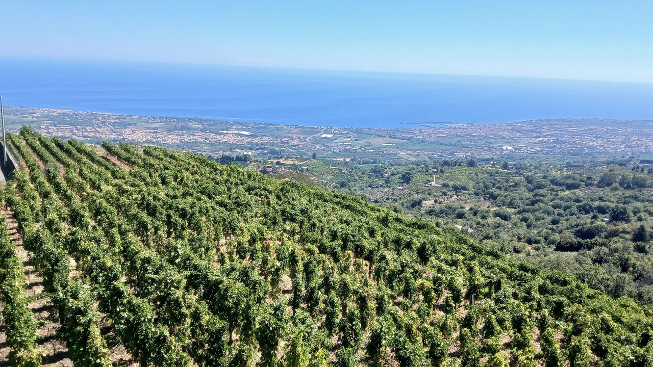 Photo of Others in Mascali