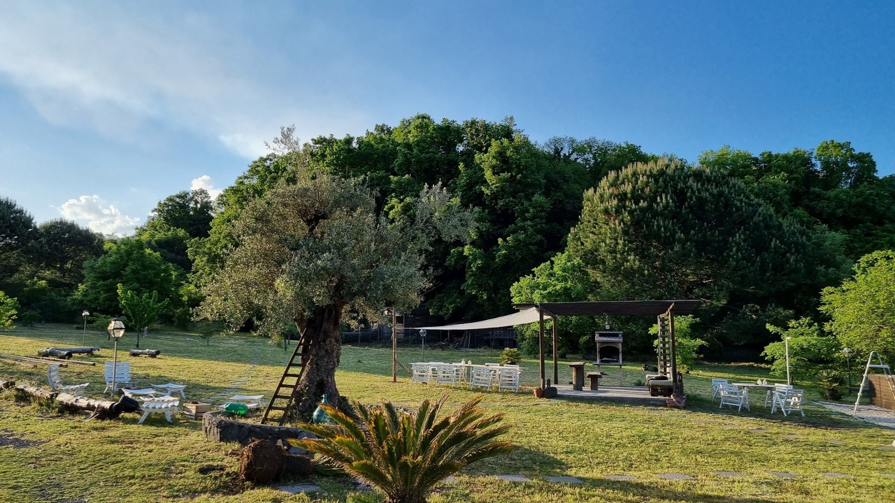 Photo of Outdoor in Pedara