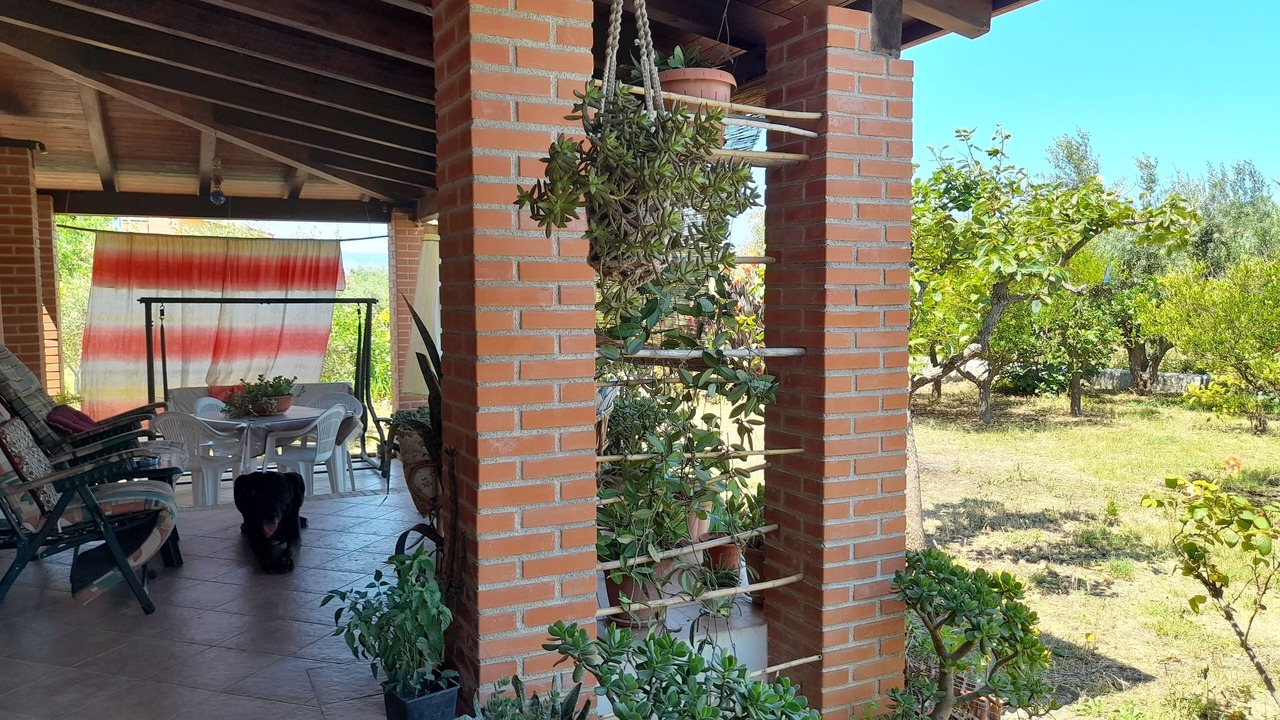 Photo of Others in Trappeto