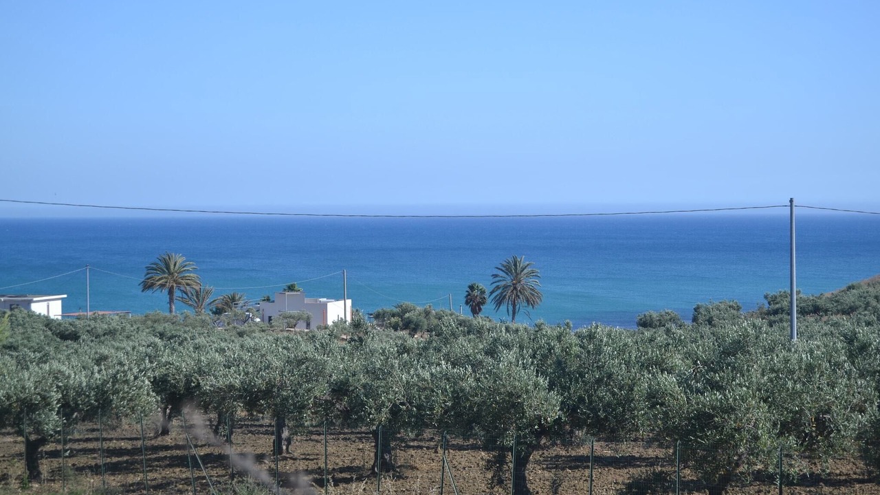 Photo of Others in San Giorgio
