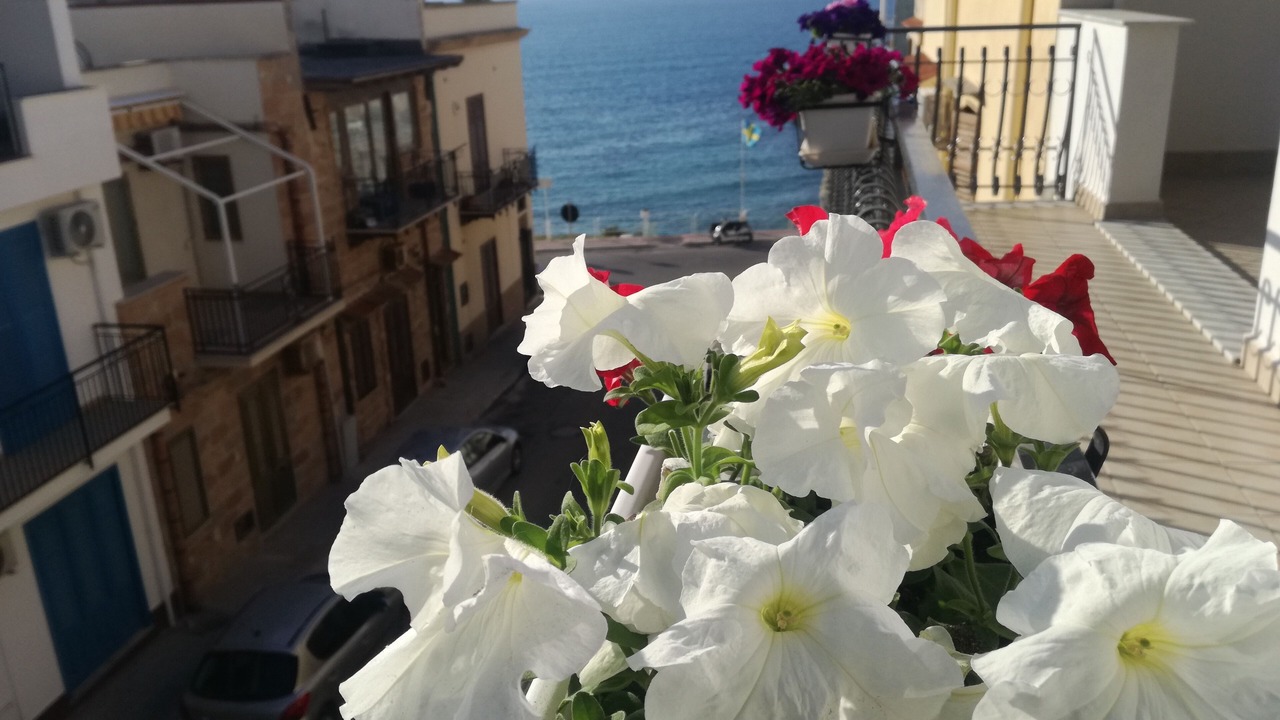 Photo of Others in Terrasini