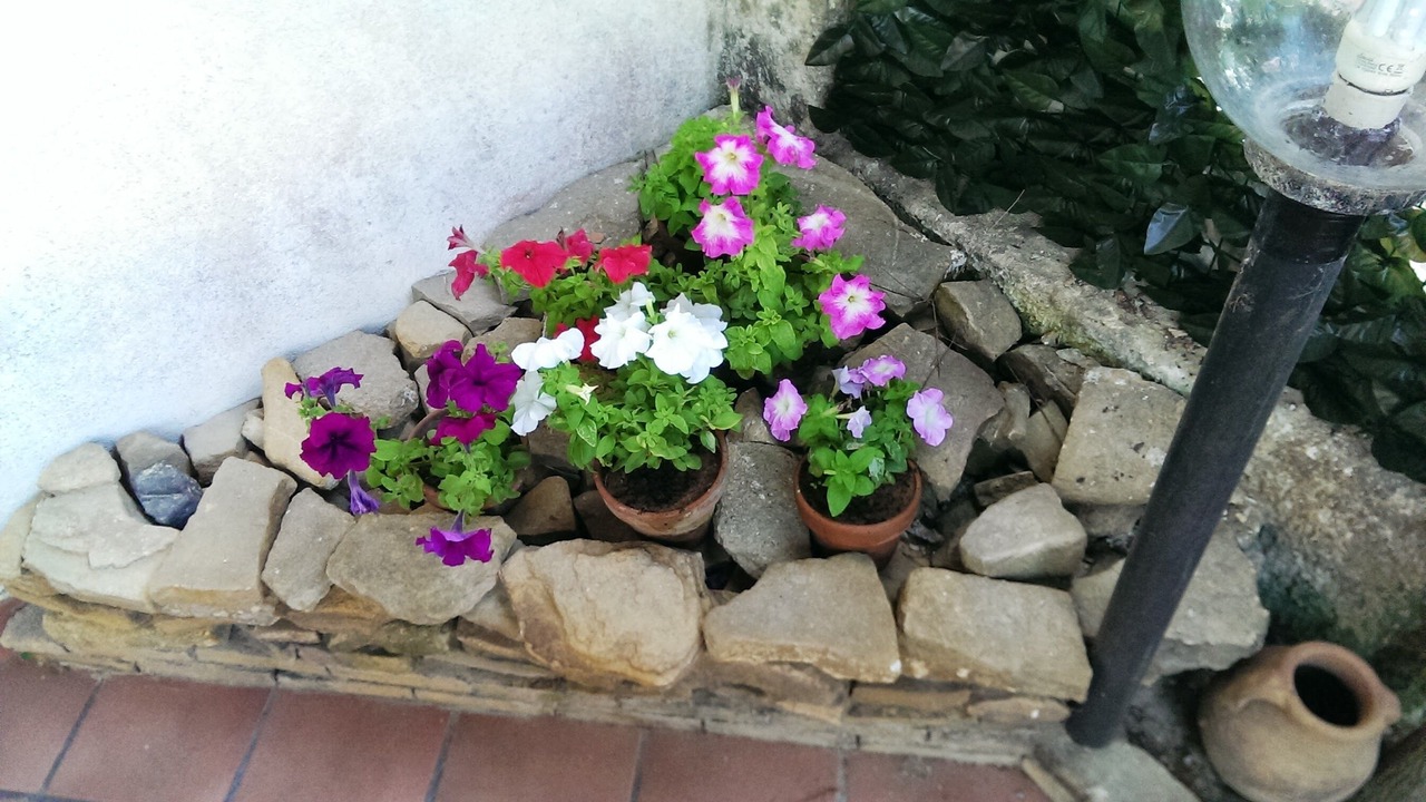 Photo of Outdoor in Marsala