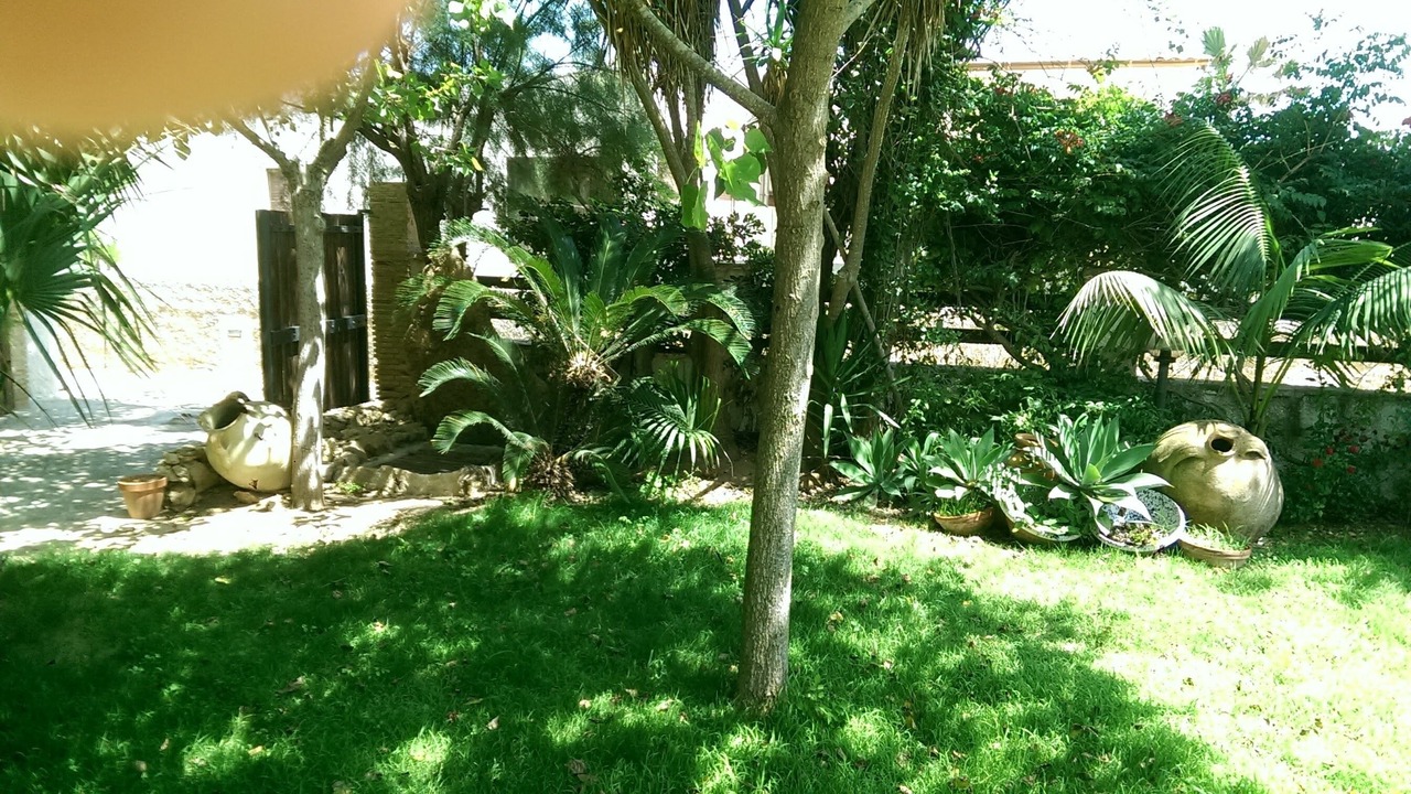 Photo of Outdoor in Marsala