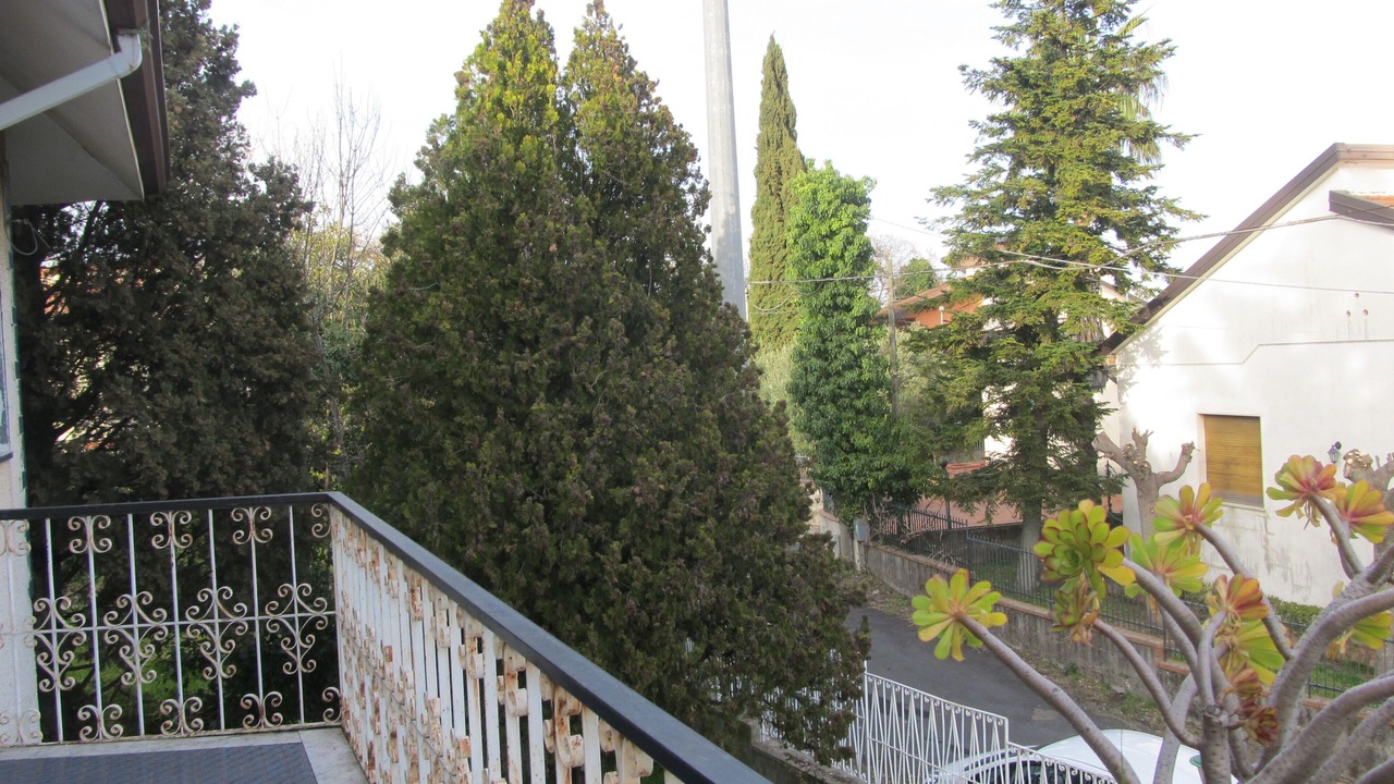Photo of Outdoor in Lavinaio-Monterosso