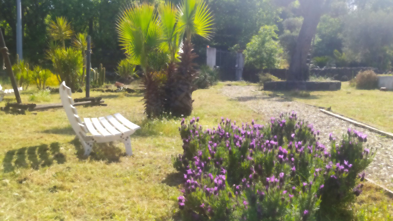 Photo of Outdoor in Pedara