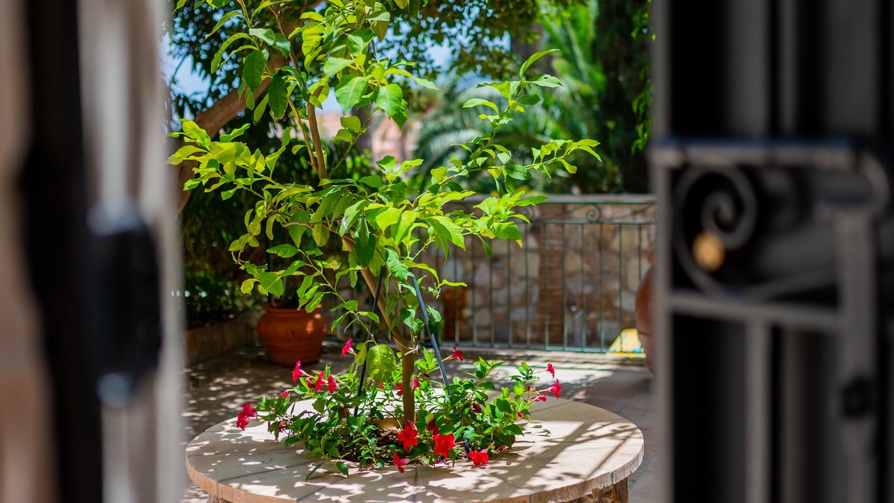 Photo of Outdoor in Taormina