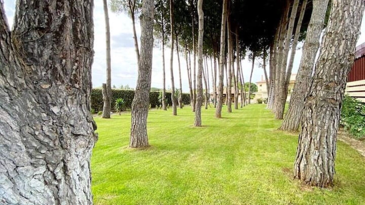 Photo of Outdoor in Canicatti