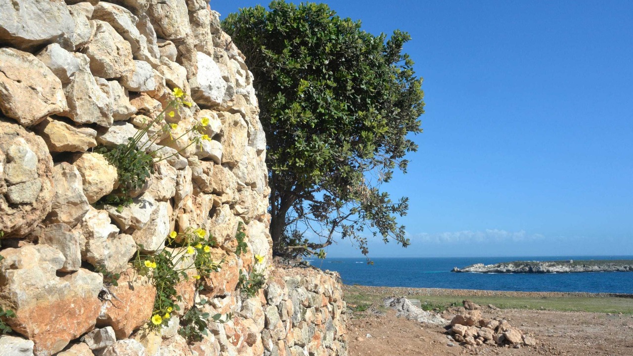 Photo of Others in Favignana