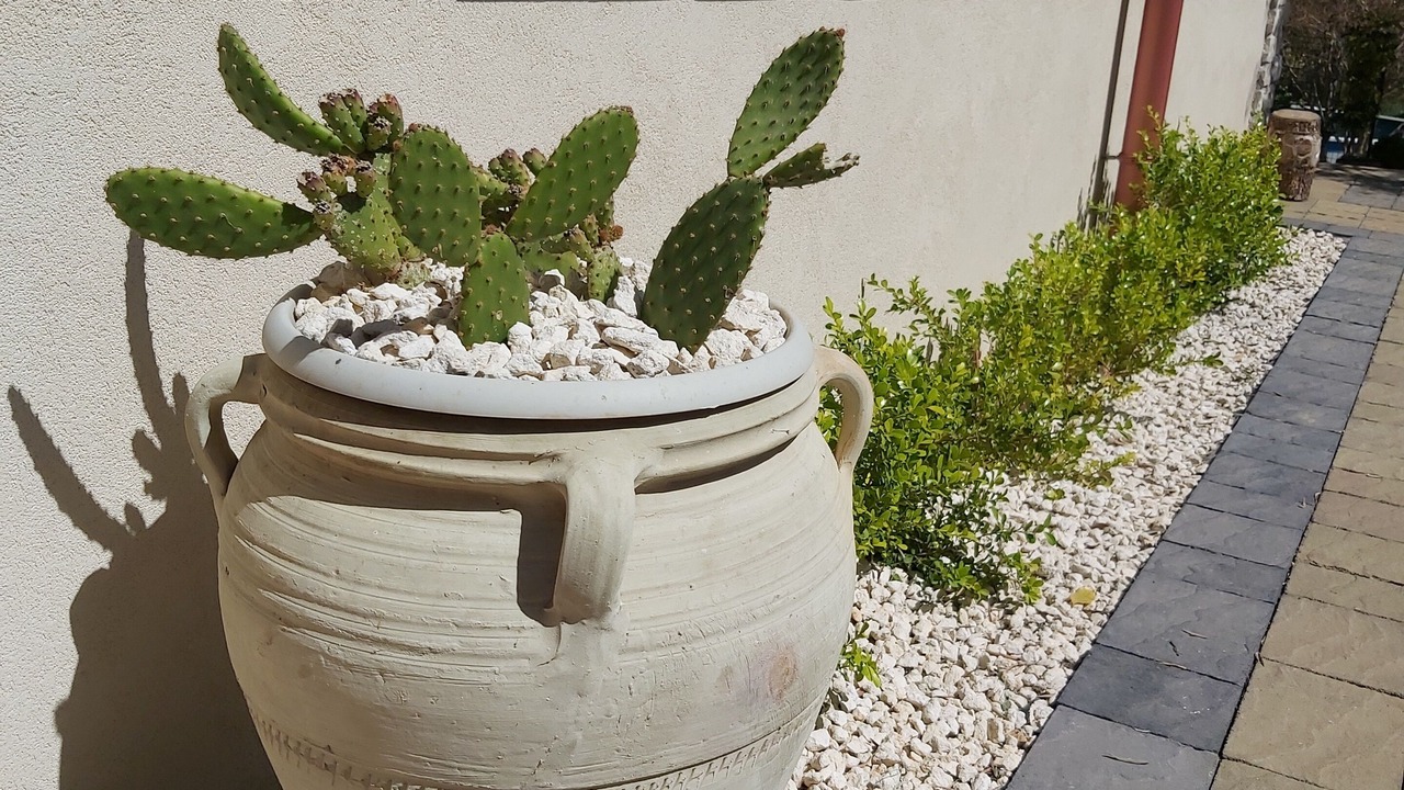 Photo of Outdoor in Solarino