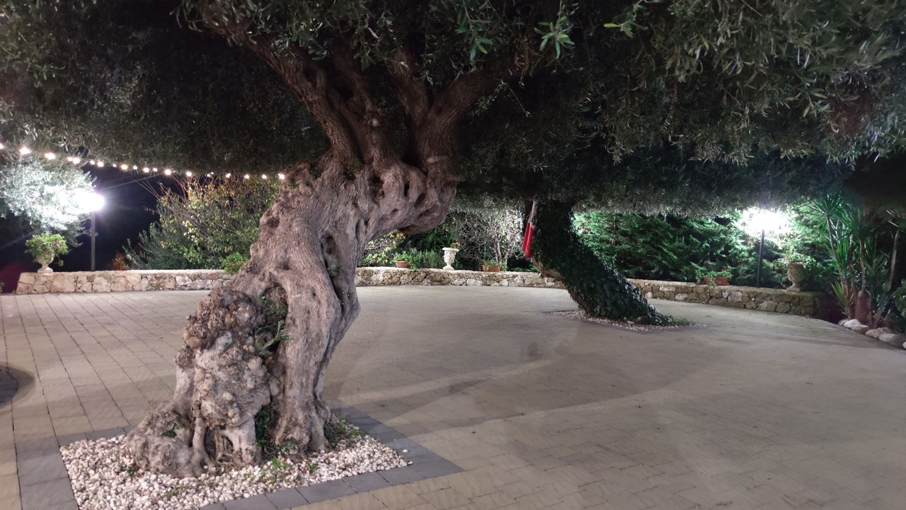 Photo of Outdoor in Solarino