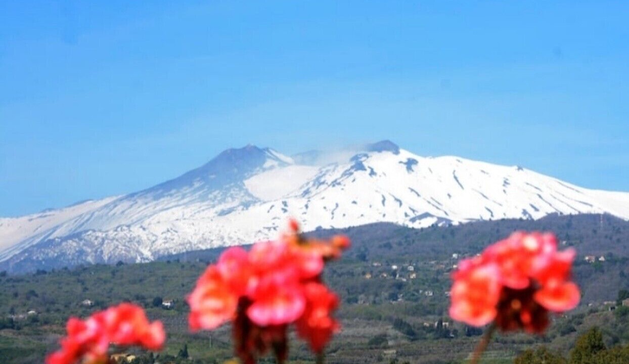 Photo of Outdoor in Piedimonte Etneo