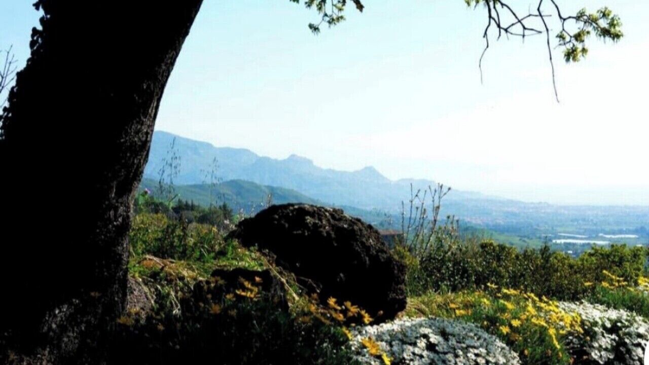 Photo of Outdoor in Piedimonte Etneo
