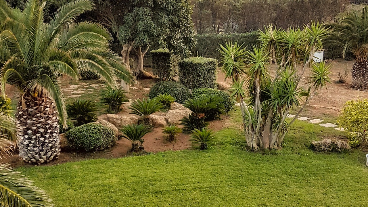 Photo of Outdoor in Favignana