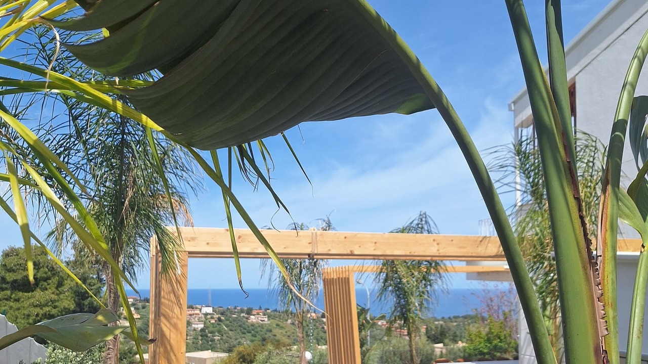 Photo of Outdoor in Trabia