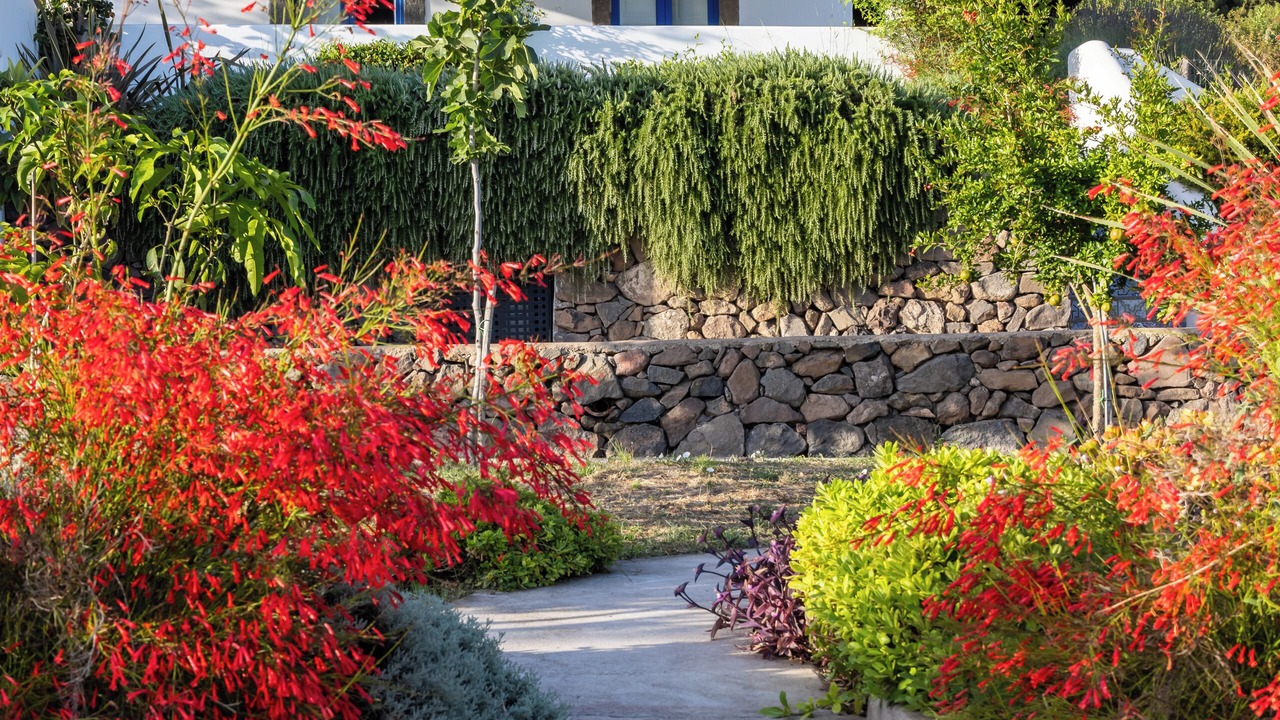 Photo of Outdoor in Malfa