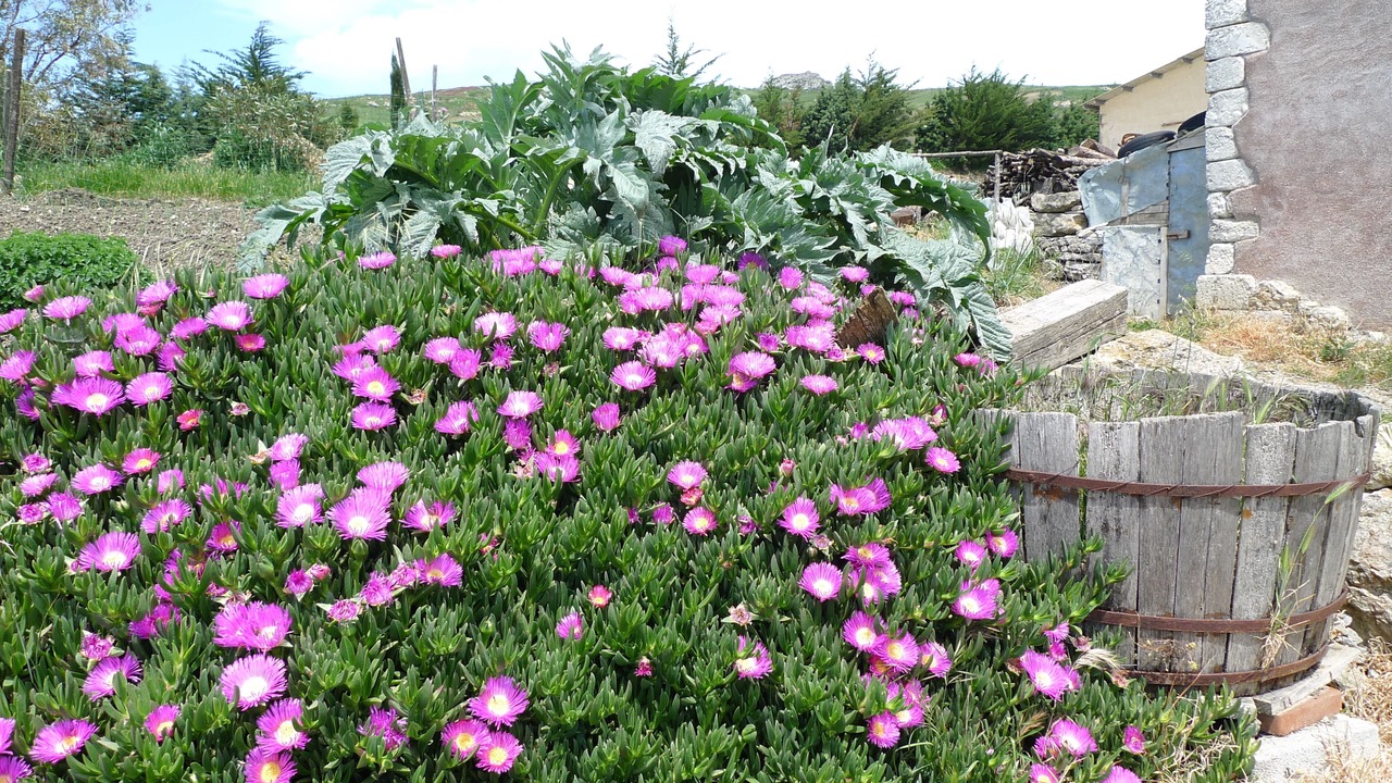 Photo of Outdoor in Polizzi Generosa
