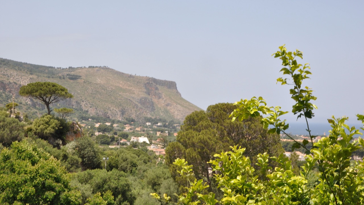 Photo of Others in Sant'Andrea Bonagia