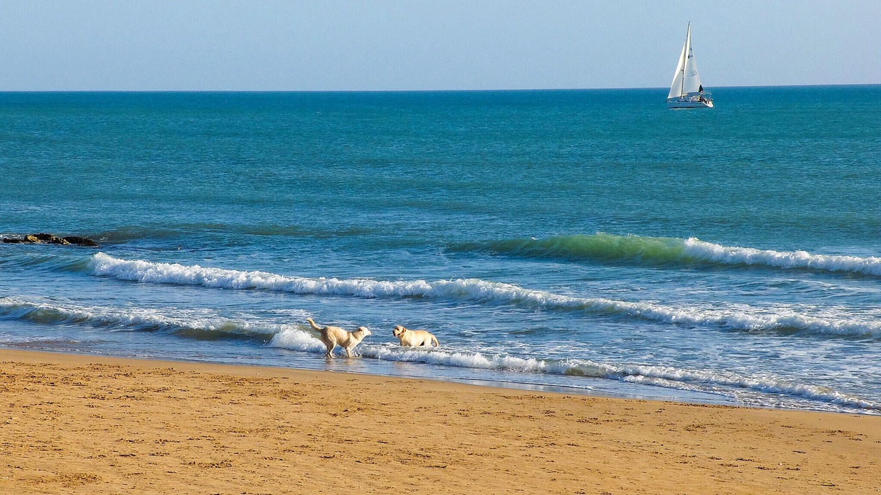 Photo of Others in Marina di Ragusa