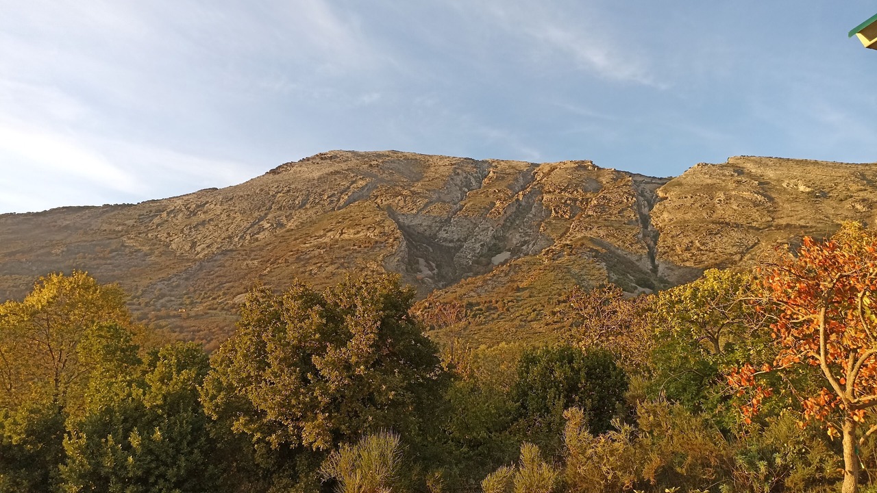 Photo of Others in Madonie National Park