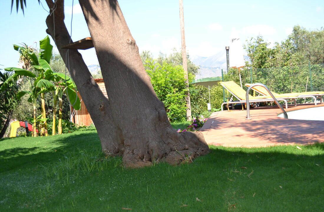 Photo of Outdoor in Palermo