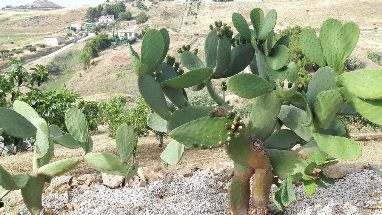 Photo of Outdoor in Montallegro